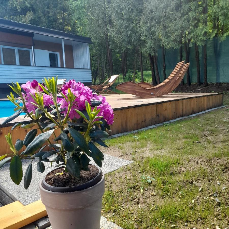Bungalows Sonnenblume Am Klopeiner See Санкт-Канциан Экстерьер фото