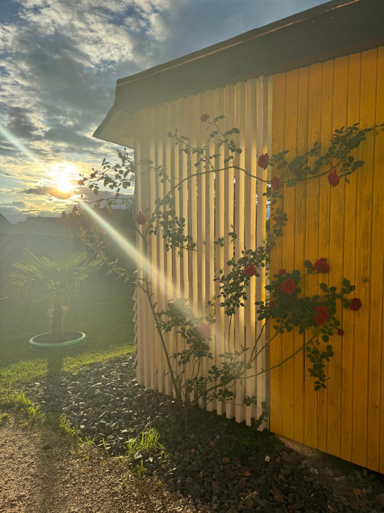 Bungalows Sonnenblume Am Klopeiner See Санкт-Канциан Экстерьер фото
